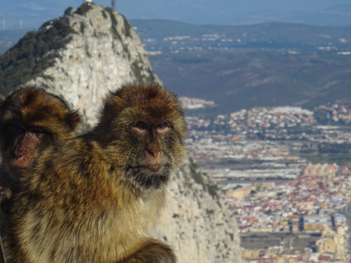 Gibraltar… adventures on the Rock